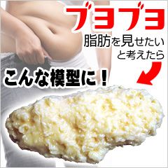 脂肪模型1kg【RealFat】脂肪模型　RealFat（リアルファット）1kg　エステ　ジム＜メーカー直送商品につき代引きご利用不可＞