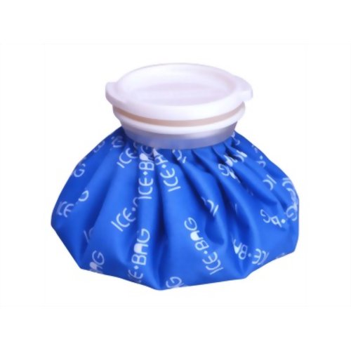 ハンディ氷のうクリアBOX S 【富士商】