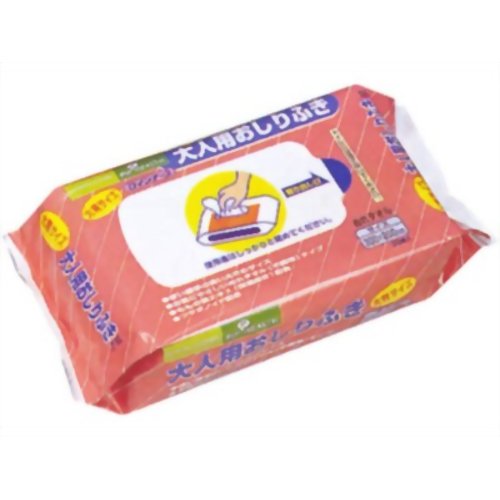 ピップ ロインナース 大人用おしりふき 大判サイズ 50枚入 【ピップフジモト】