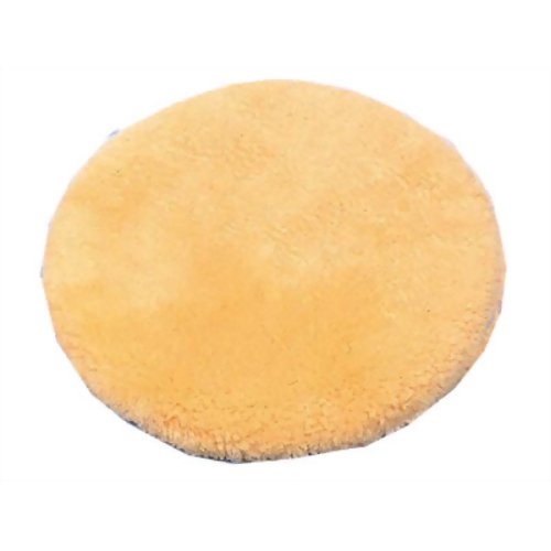 円座薄型穴無　【(株)ウィズ】