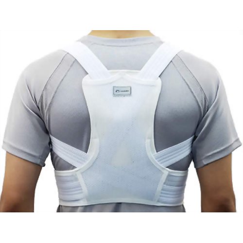 ノーブル Wクロス姿勢補助ベルト 9101 L 【丸光産業】