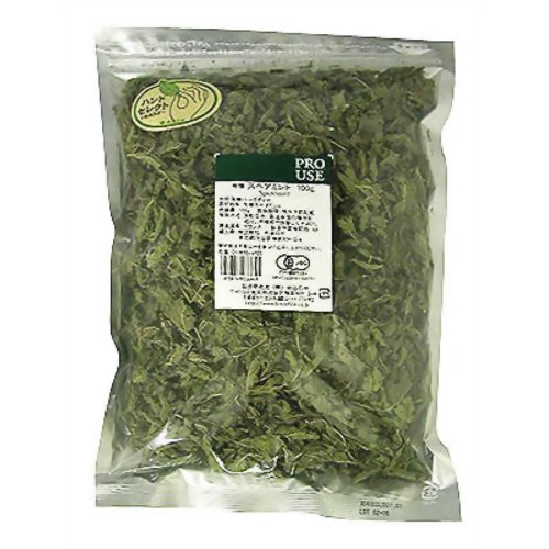 生活の木 有機 スペアミント 100g 【生活の木】