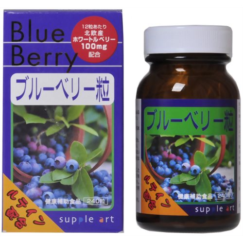 サプリアート ブルーベリー粒 240粒 【サプリアート】
