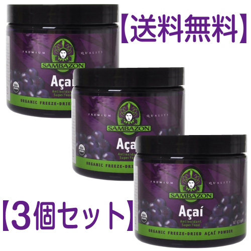 【送料無料3個セット】全米で大人気！ついに日本上陸！豊富な栄養素サンバゾン(TM) アサイーパウダー90g【ニコウトレーディング】 [SAMBAZON(サンバゾン) アサイー(アサイーベリー) アンドストア]