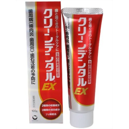クリーンデンタルEX DSデンタルペーストLb 100g 【第一三共ヘルスケア】