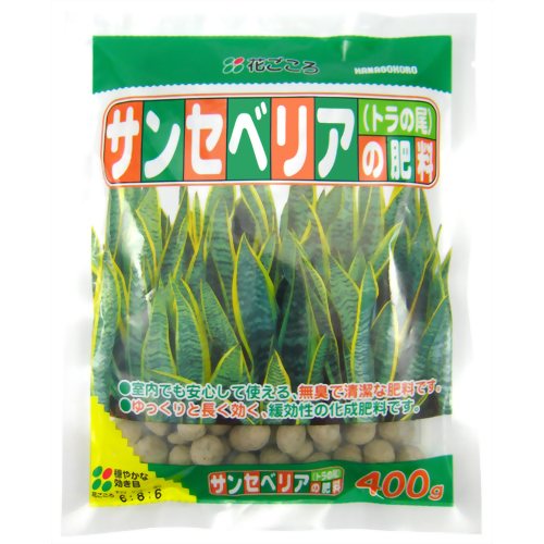 花ごころ サンセベリアの肥料 【花ごころ】