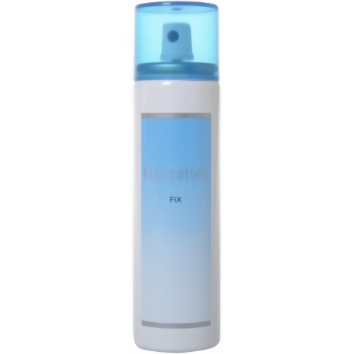 フィギュレーション フィックス 50g　【メロス化学】