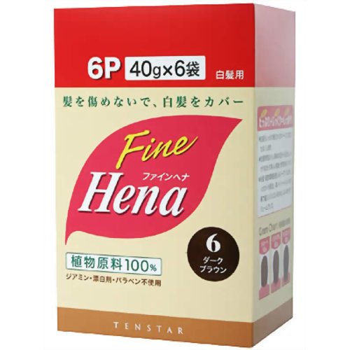 テンスター ファインヘナ ダークブラウン お徳用 240g 【三宝商事】