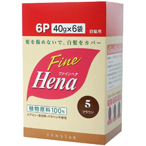 テンスター ファインヘナ ブラウン お徳用 240g 【三宝商事】