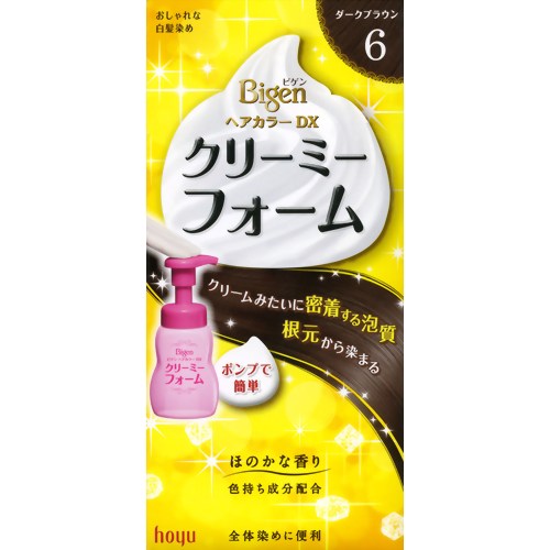 ビゲンヘアカラーDX クリーミーフォーム ポンプ付き 6(ダークブラウン) 【ホーユー】