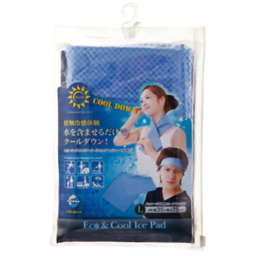 Eco&Cool アイスパッド L　【ニーズ】