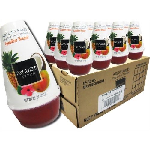 リナジット エアーフレッシュナー BOX パラダイスブリーズ (12個入) 【ケップラボ】