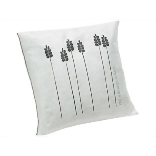 炭草花 フォー・ルーム 【アイオーティカーボン】