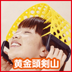 頭皮マッサージグッズ　黄金頭剣山